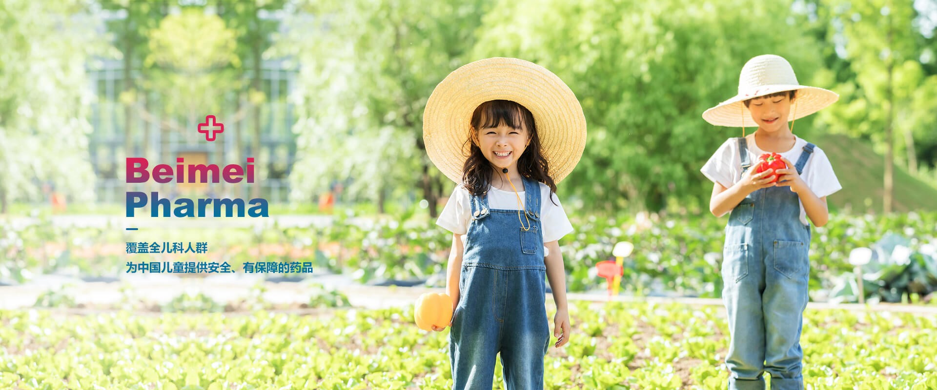 2022年11月貝美藥業(yè)自主研發(fā)的又一個(gè)品種，獲得生產(chǎn)許可B證！